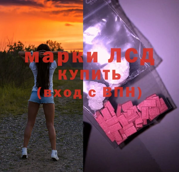 сатива Армянск