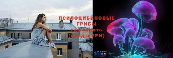 сатива Армянск