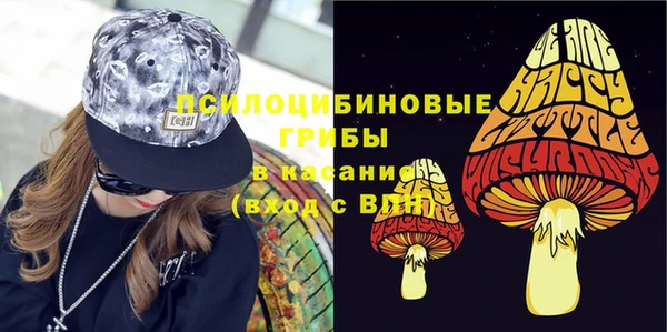 бошки Аркадак