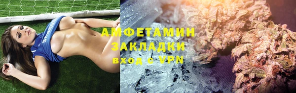 ПСИЛОЦИБИНОВЫЕ ГРИБЫ Арсеньев