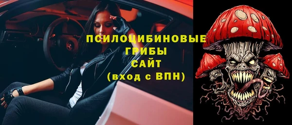 сатива Армянск