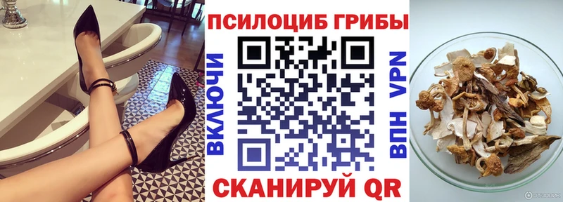 блэк спрут сайт  Оха  Галлюциногенные грибы Cubensis 